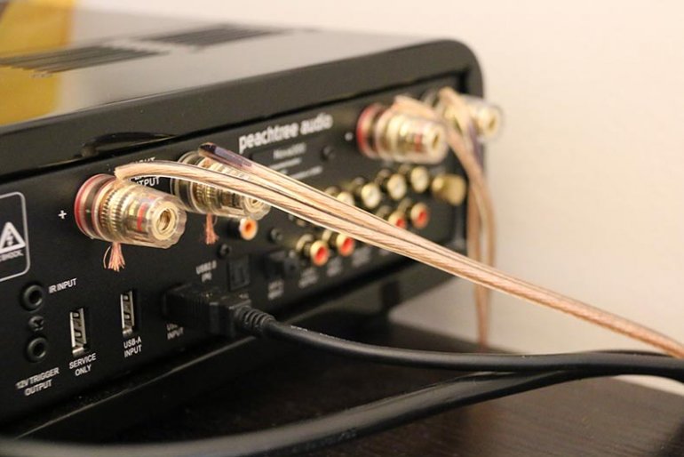 Peachtree Audio nova300 Review | The Master Switch